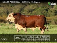 Lote 23 - V106