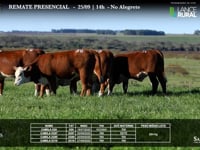 Lote 30