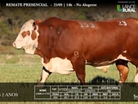 Lote 23 - V153