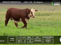 Lote 45 - R188