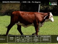 Lote 54