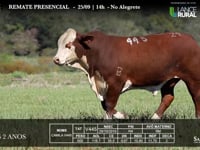 Lote 24 - V445