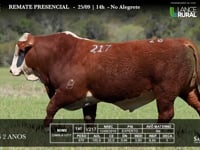 Lote 20 - V217