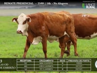 Lote 63