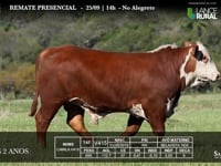 Lote 24 - V415