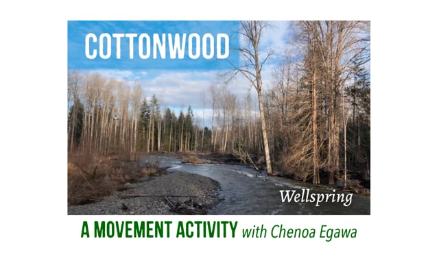 Cottonwood with Chenoa Egawa Video
