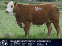 Lote 126