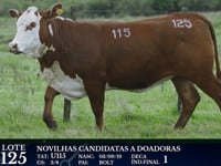 Lote 125