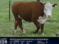 Lote 128