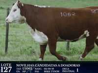 Lote 127