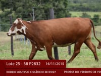 Lote 25