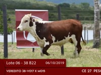 Lote 06