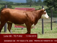 Lote 08