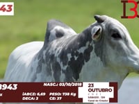 Lote 43