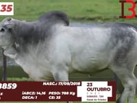 Lote 35