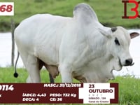 Lote 68