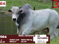 Lote 64