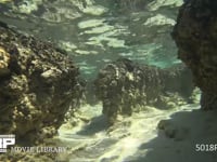 ストロマトライト（水中撮影） 藍藻類、海面、波、4K