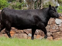 Lote 02