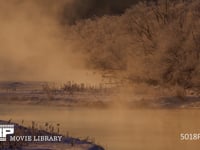 川霧のなかのタンチョウ 丹頂、ツル、鶴、朝日、朝焼け、ねぐら、雪裡川、4K