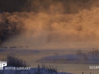 川霧のなかのタンチョウ 丹頂、ツル、鶴、朝日、朝焼け、ねぐら、雪裡川、4K