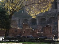 フォロ・ロマーノの落葉 神殿、古代遺跡、4K