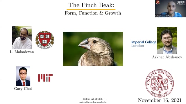The Finch Beak: Form, Function and Growth on Vimeo