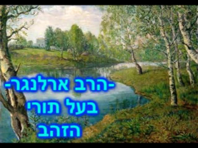 בעל הטורי זהב- הרב פנחס ארלנגר