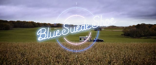 BLUE SUEDE SHOE