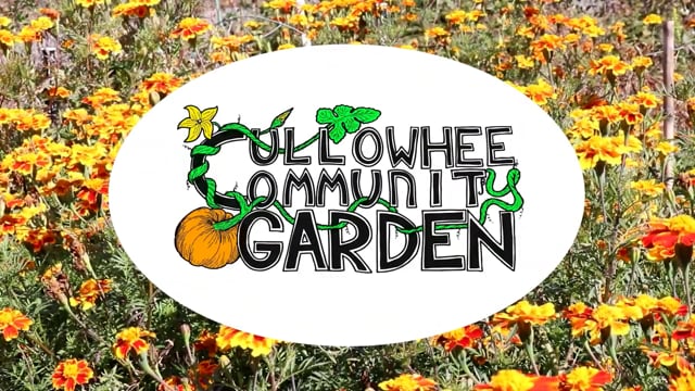 WCU - Cullowhee Community Garden Service Learning