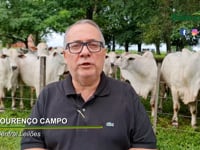 CONVITE - LOURENÇO CAMPO