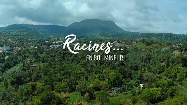 RACINES EN SOL MINEUR_HD_STEREO_VF_002853_REC709.mov