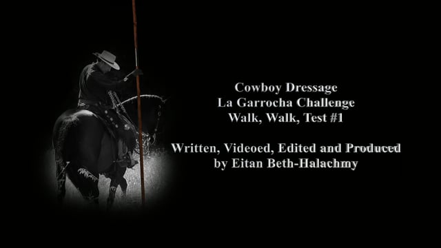 Cowboy Dressage La Garrocha Challenge