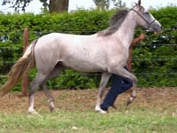 Lote 07M