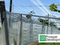 Artificial Shelter Installation | Prosper Development | New Zealand