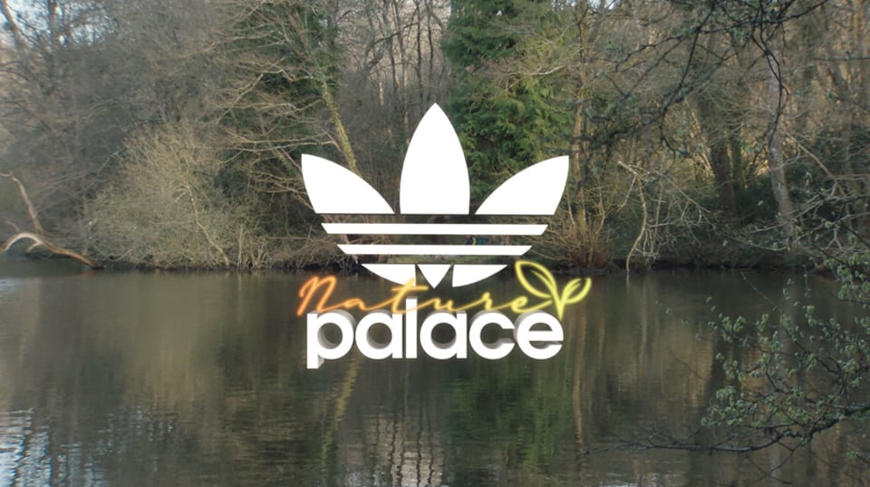 Palace Adidas: Nature