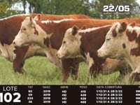 Lote 102
