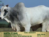 Lote 123