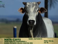 Lote 122