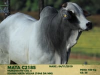 Lote 140
