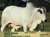 Lote 173