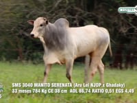 Lote 25