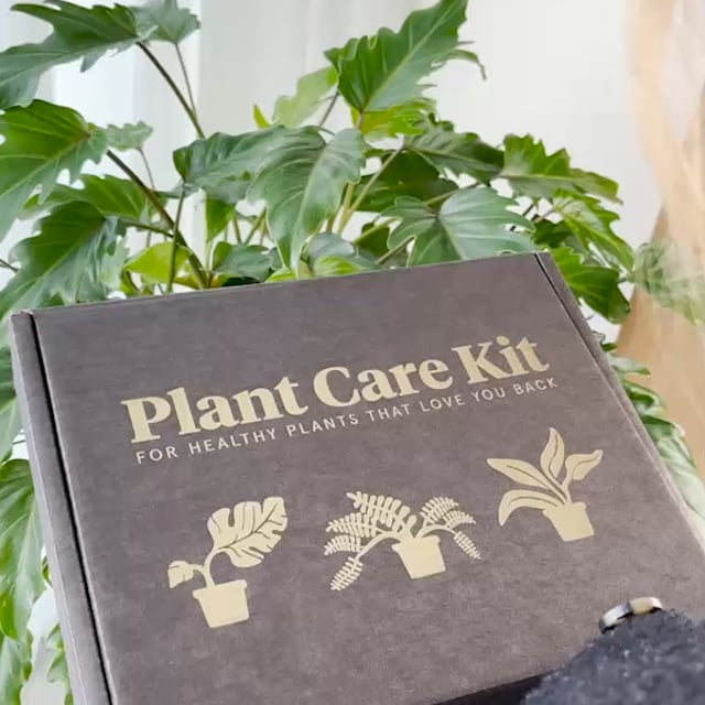 Coffret d'entretien pour plantes