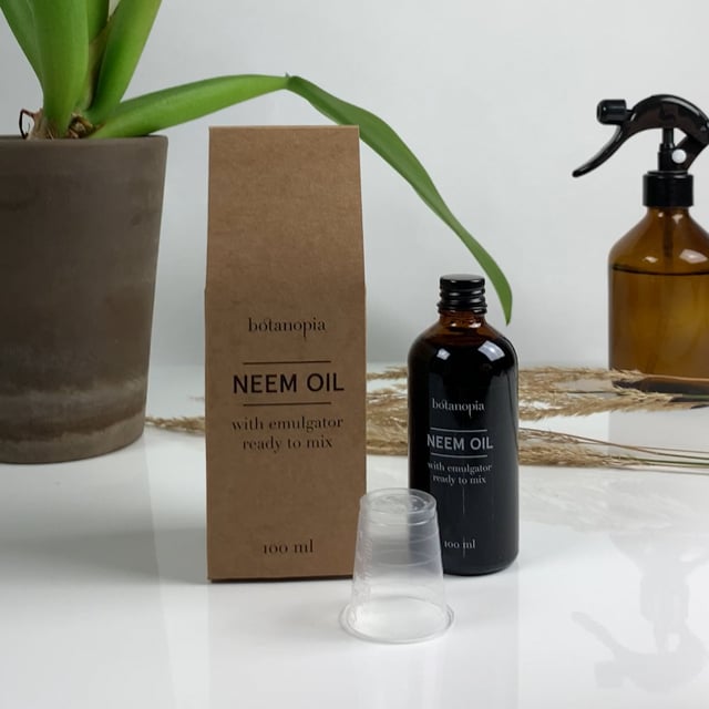 ACEITE DE MENTA – Tienda Neem