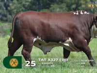 Lote 25  -TAT X327