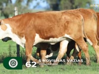 Lote 62