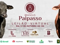 LEILÃO VIRTUAL BRANGUS PAIPASSO - Central Leil�es