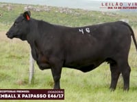 Lote 32