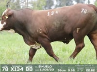 Lote 78 - X134