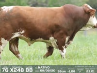 Lote 76 - X248